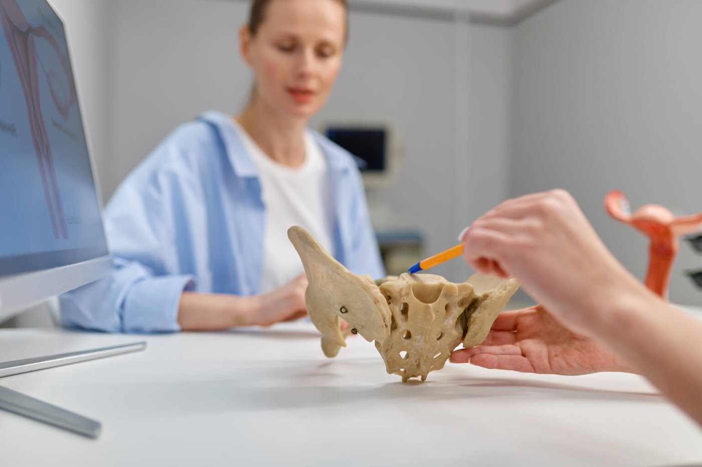 Clinician explaining pelvic anatomy with a pelvis model to a patient